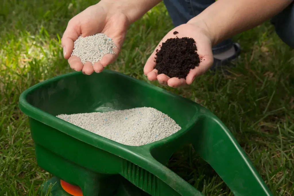 Follow These Tips for Proper Grass Fertilization