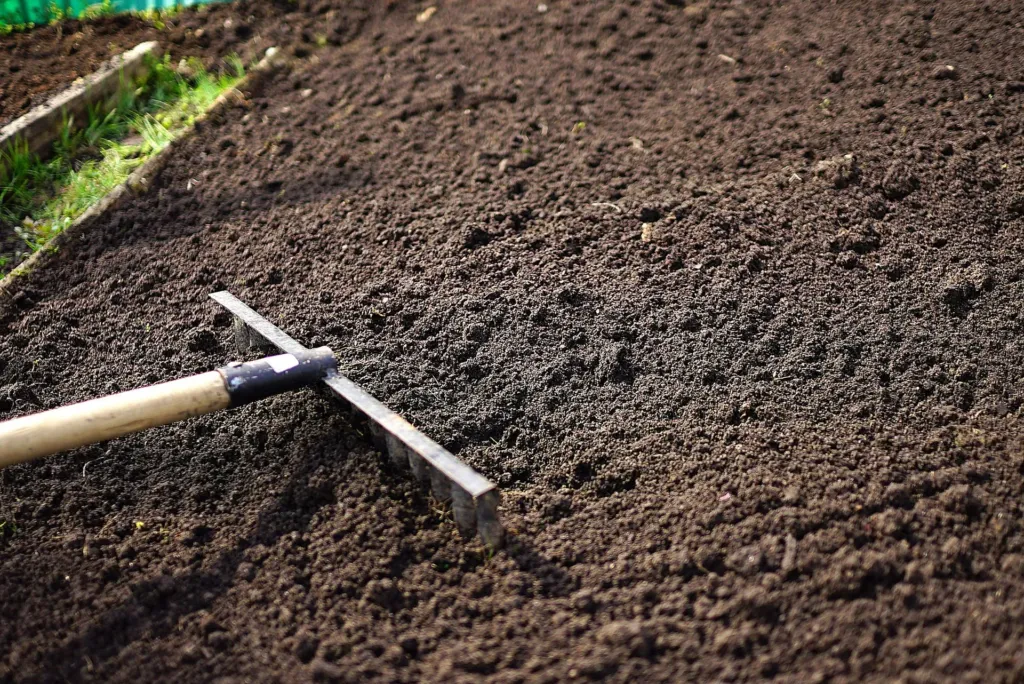 How to Choose the Right Fertilizer for Your Lawn Type