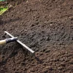 How to Choose the Right Fertilizer for Your Lawn Type
